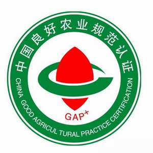 GAP  良好农业规范